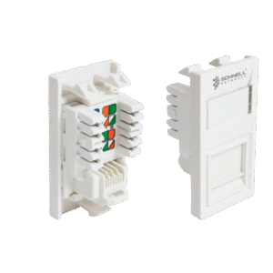 CAT 6 EURO MODULE
