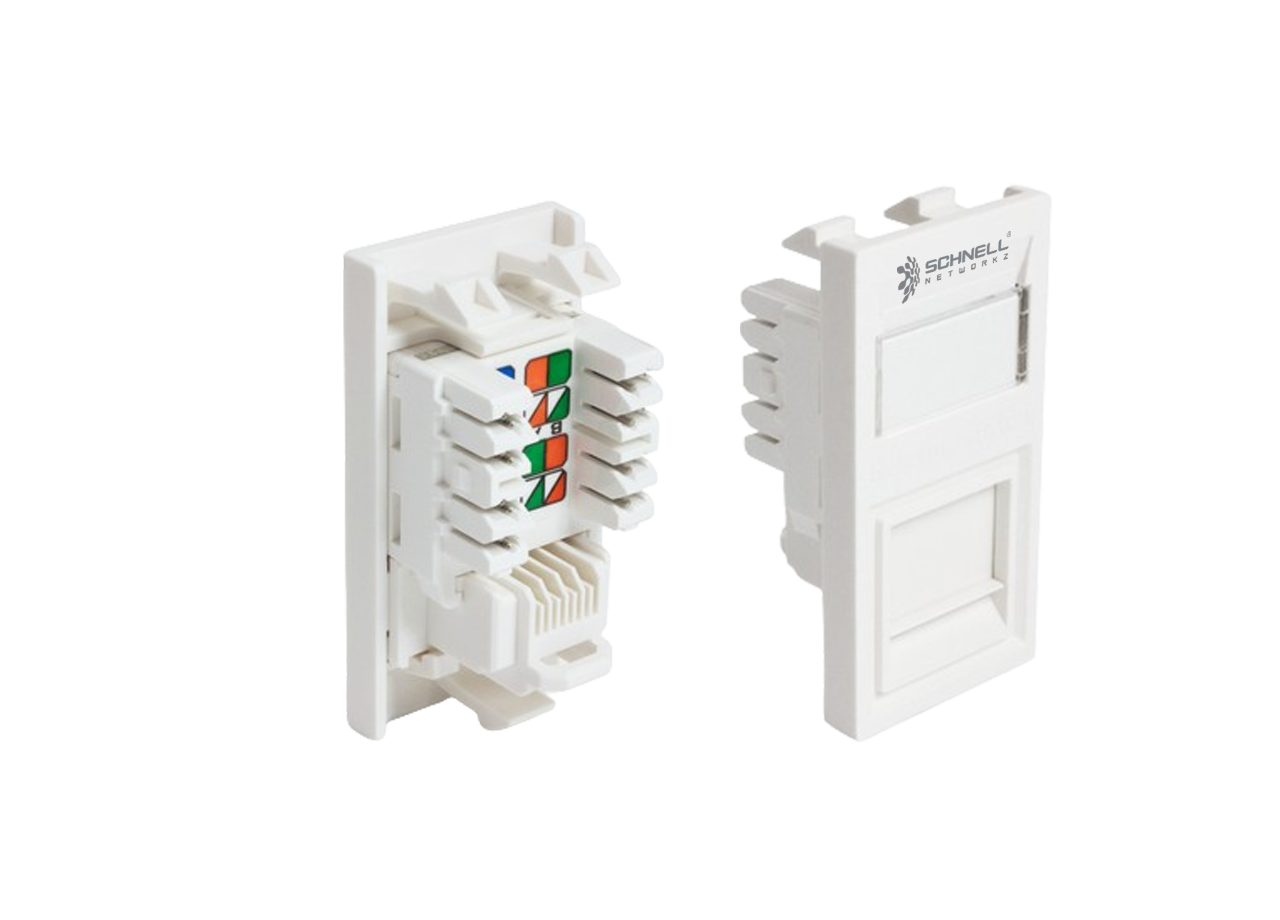 CAT 6 EURO MODULE